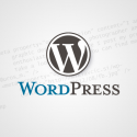 Fixed: WordPress homepage pulling og:description from the latest published post